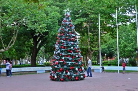 Arbol de navidad en la Plaza Mitre Arbol de navidad en la Plaza Mitre