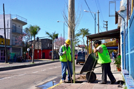 Se plantarán 10 mil árboles más en San Fernando