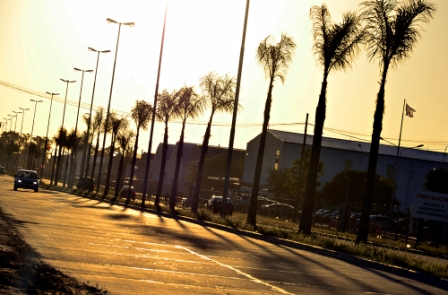 Se plantarán 10 mil árboles más en San Fernando