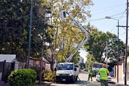 San Fernando suma 3 nuevos camiones para realizar su Plan de Poda en toda la ciudad San Fernando suma 3 nuevos camiones para realizar su Plan de Poda en toda la ciudad