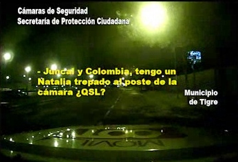 Intentan romper una cámara de seguridad de Tigre y son detenidos