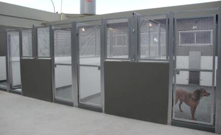 Zoonosis de Vicente López amplió y renovó sus caniles de internación Zoonosis de Vicente López amplió y renovó sus caniles de internación