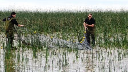 Tigre cuenta con los primeros resultados de un relevamiento de biodiversidad en el Delta Tigre cuenta con los primeros resultados de un relevamiento de biodiversidad en el Delta