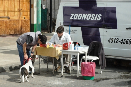 Castración gratuita de perros y gatos en Tigre Castración gratuita de perros y gatos en Tigre