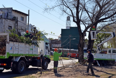 Temporada de Poda: el Municipio ya intervino el 90% de San Fernando Temporada de Poda: el Municipio ya intervino el 90% de San Fernando
