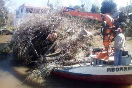 Nuevos trabajos en el Delta de Tigre Nuevos trabajos en el Delta de Tigre