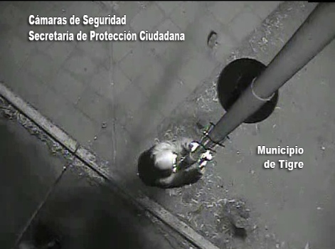 Detienen a El “Mono” de El Talar por atacar a una cámara de Tigre Detienen a El “Mono” de El Talar por atacar a una cámara de Tigre