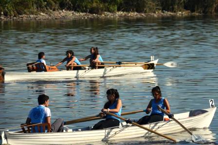 El remo en Tigre se vive a toda hora El remo en Tigre se vive a toda hora