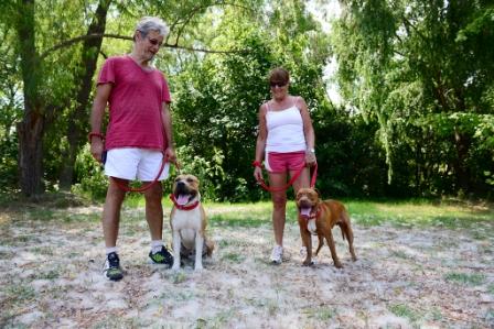 San Fernando realiza recomendaciones para la tenencia responsable de animales domésticos. San Fernando realiza recomendaciones para la tenencia responsable de animales domésticos.