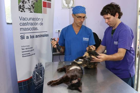 Castración y vacunación gratuita de mascotas en San Isidro Castración y vacunación gratuita de mascotas en San Isidro