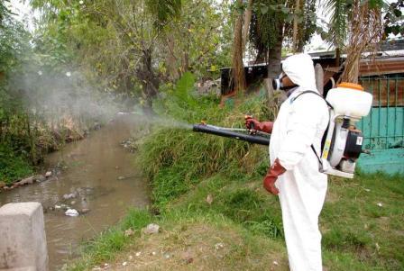 La eliminación del dengue no depende de la fumigación. La eliminación del dengue no depende de la fumigación.