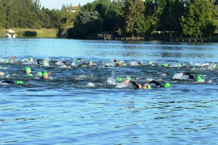 Tigre fue la primera sede argentina del IronMan 70.3, la máxima competencia del triatlón mundial Tigre fue la primera sede argentina del IronMan 70.3, la máxima competencia del triatlón mundial