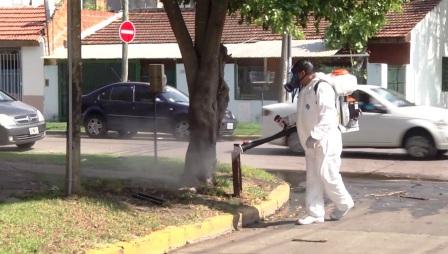 San Fernando avanza en la prevención del dengue en el barrio Villa Federal San Fernando avanza en la prevención del dengue en el barrio Villa Federal