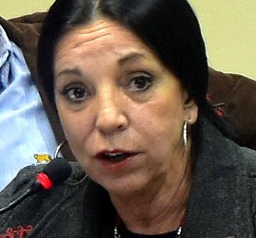 Durrieu vuelve a impulsar una normativa local para los boliches de San Isidro Durrieu vuelve a impulsar una normativa local para los boliches de San Isidro