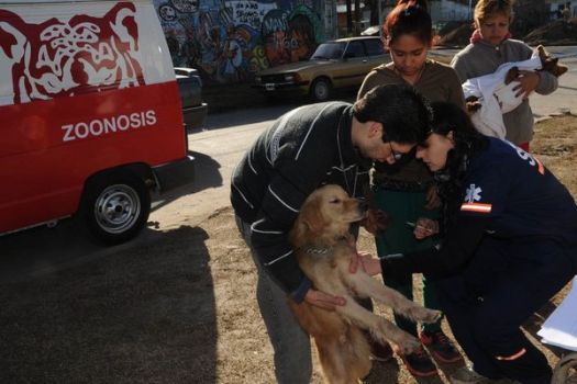 El operativo de Zoonosis continúa durante junio en Tigre El operativo de Zoonosis continúa durante junio en Tigre