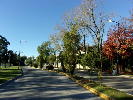 Nuevo boulevard de plantas nativas en el bajo de San Isidro Nuevo boulevard de plantas nativas en el bajo de San Isidro