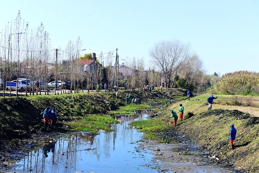 San Fernando y cooperativas de la Provincia limpian el zanjón Fate San Fernando y cooperativas de la Provincia limpian el zanjón Fate