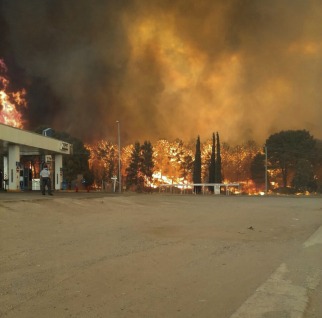 Un incendio afecta a una zona boscosa Valeria del Mar