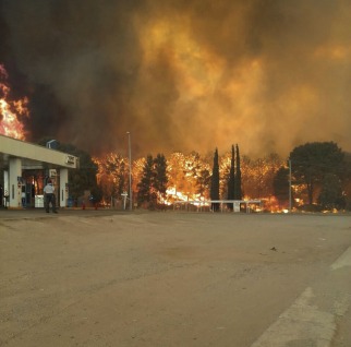 Un incendio afecta a una zona boscosa Valeria del Mar Un incendio afecta a una zona boscosa Valeria del Mar
