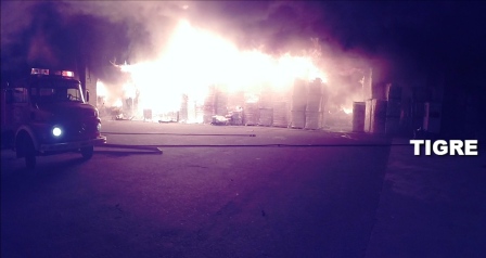 Video: Impactantes imágenes de voraz incendio de Don Torcuato Video: Impactantes imágenes de voraz incendio de Don Torcuato