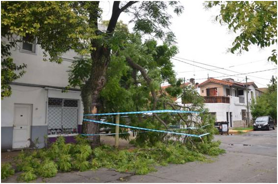 Se normaliza la situación en San Isidro tras el fuerte temporal. Se normaliza la situación en San Isidro tras el fuerte temporal.