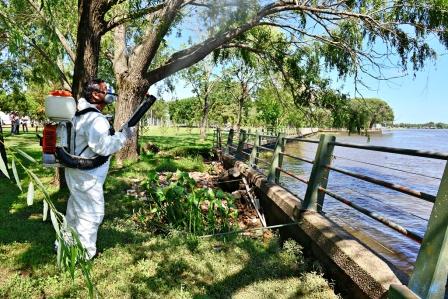 San Fernando trabaja contra mosquitos y “mariposas negras” y pide precauciones