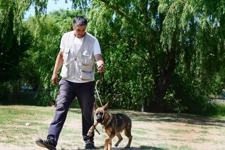 En febrero, sigue el taller municipal de adiestramiento de perros en San Fernando