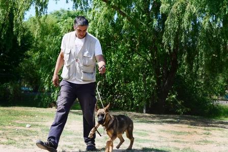 En febrero, sigue el taller municipal de adiestramiento de perros en San Fernando En febrero, sigue el taller municipal de adiestramiento de perros en San Fernando