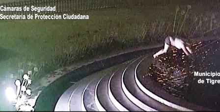Una mujer fue filmada mientras nadaba en una fuente de Tigre Una mujer fue filmada mientras nadaba en una fuente de Tigre