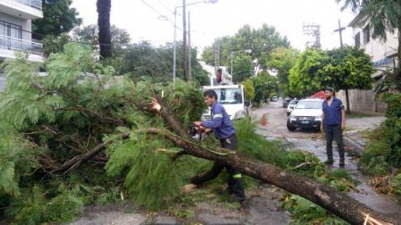 Frente al temporal, el Comité de Crisis de San Martín trabaja en distintos barrios Frente al temporal, el Comité de Crisis de San Martín trabaja en distintos barrios
