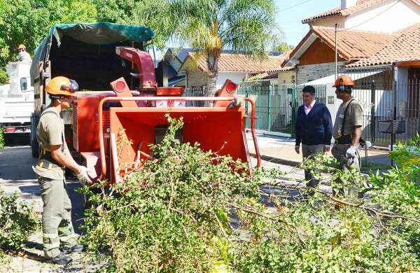 La Municipalidad de Vicente López inició el nuevo Plan de Poda para el 2017 La Municipalidad de Vicente López inició el nuevo Plan de Poda para el 2017