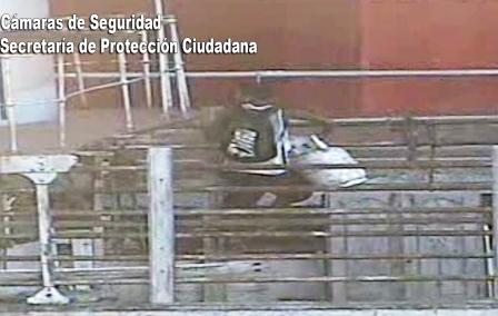 Robó gas envasado y fue detenido en Tigre Robó gas envasado y fue detenido en Tigre