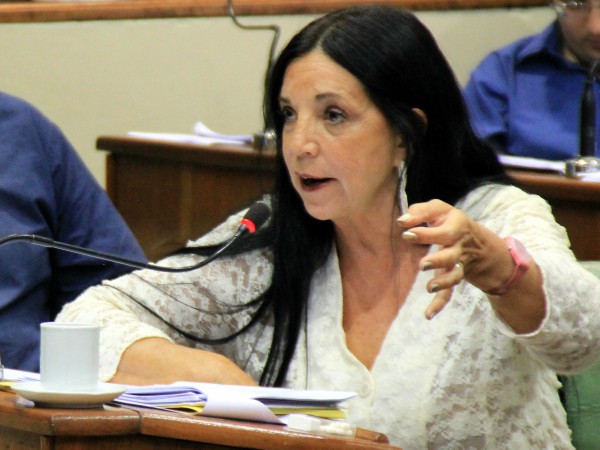 Marcela Durrieu, Presidenta de Bloque del Frente Renovador