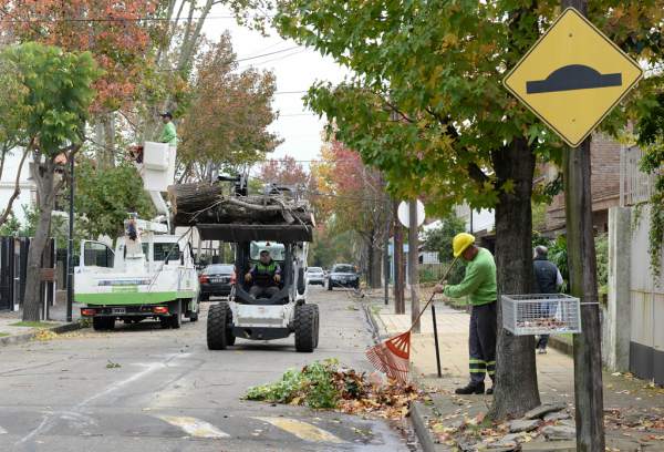 Avanzan los trabajos de poda correctiva en San Fernando