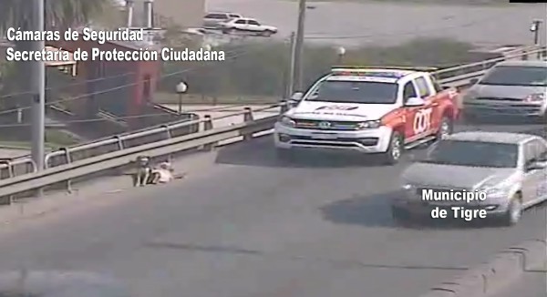 Las cámaras de seguridad del Centro de Operaciones Tigre (COT) divisaron a los caninos en una situación peligrosa. Efectivos los pusieron a salvo y trasladaron al área zoonosis del municipio.
Las cámaras de seguridad del Centro de Operaciones Tigre (COT) divisaron a los caninos en una situación peligrosa. Efectivos los pusieron a salvo y trasladaron al área zoonosis del municipio.