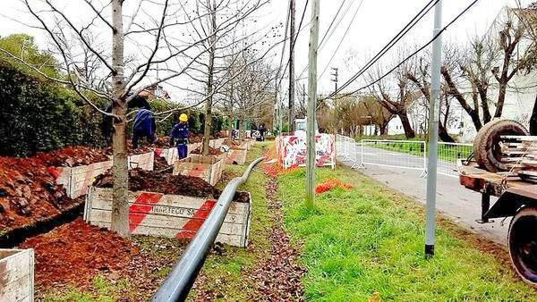 Avanza la obra de red de agua potable en más barrios de Tigre.