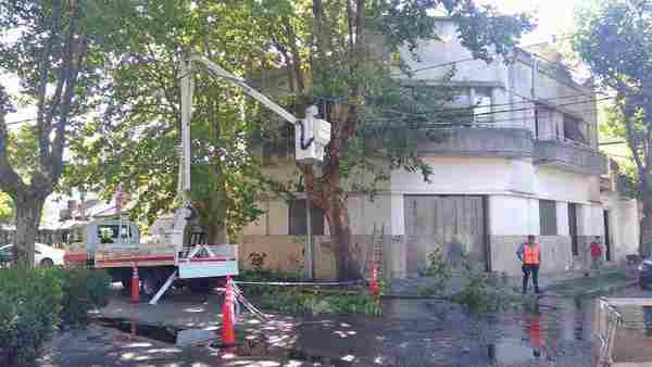 El municipio realizó trabajos de poda correctiva en Tigre centro