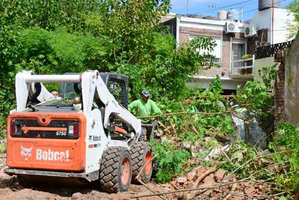 San Fernando desmalezó y desratizó un predio abandonado en Victoria