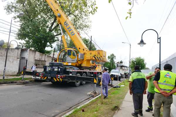 El COEM de San Fernando intervino tras la caída de un árbol sobre una vivienda 