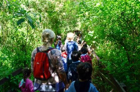 “Escuelas Sustentables” lleva a cientos de chicos a recorrer la Reserva Ecológica de Vicente López