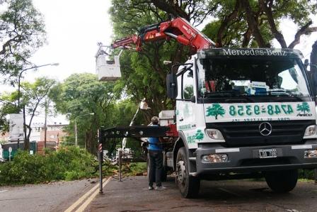 San Isidro realiza un operativo especial de raleo de las Tipas de AV. Del Libertador para evitar accidentes 