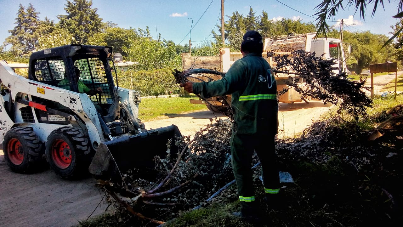 Operativo de descacharreo en Río Luján. Operativo de descacharreo en Río Luján.