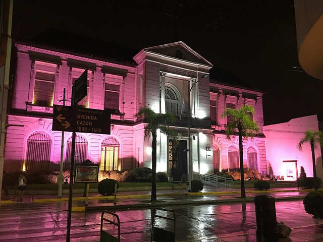 Palacio Municipal de Tigre - Día de la Mujer
