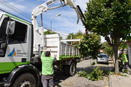 San Fernando sostiene trabajos de despeje de luminarias y cámaras de seguridad