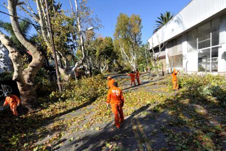 Junto a su equipo de trabajo, el intendente Julio Zamora supervisó las tareas que comenzaron en el centro de la ciudad y en Benavídez. Contempla la intervención de más de 15 mil árboles y se extenderá a lo largo de todo el distrito hasta el mes de agosto.
