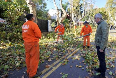 Junto a su equipo de trabajo, el intendente Julio Zamora supervisó las tareas que comenzaron en el centro de la ciudad y en Benavídez. Contempla la intervención de más de 15 mil árboles y se extenderá a lo largo de todo el distrito hasta el mes de agosto.
