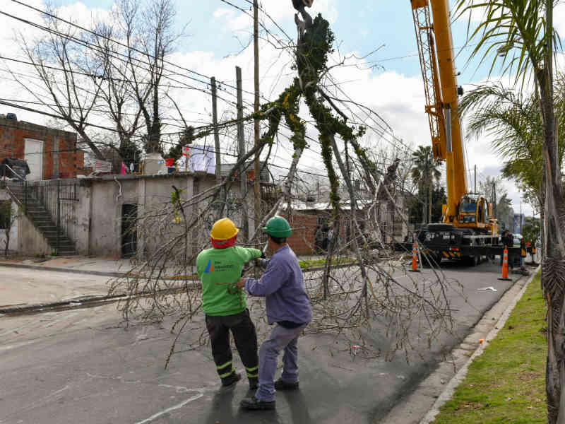 El COEM de San Fernando intervino para extraer dos árboles con peligro de derribo
