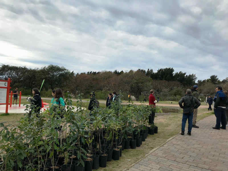 Vicente López planta 500 árboles en el Paseo de la Costa por el Día Nacional del Árbol Vicente López planta 500 árboles en el Paseo de la Costa por el Día Nacional del Árbol