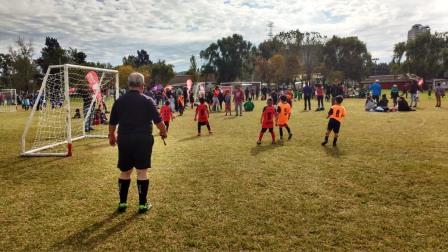 Finalizó la primera rueda de la Liga de Baby Fútbol Municipal de Tigre Finalizó la primera rueda de la Liga de Baby Fútbol Municipal de Tigre