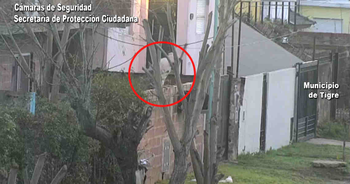 Un ladrón fue deterctado por las cámaras de Tigre robando varias viviendas de Rincón de Milberg